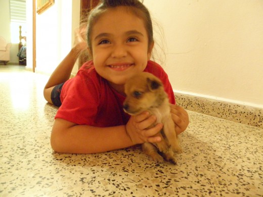 Paola de 3 años con su primer perrito martin chihuahua